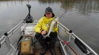 49-zander-guiding-2018