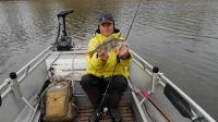 50-zander-guiding-2018