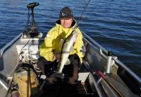 53-zander-guiding-2018