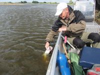 zanderguiding-12062012-10