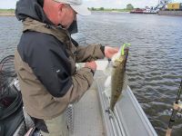 zanderguiding-12062012-13