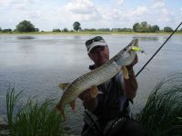 zanderguiding-12072011-18