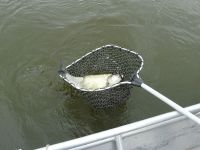 zanderguiding-12072011-20
