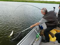 zanderguiding-12072011-23