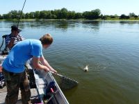 zanderguiding-12072011-3
