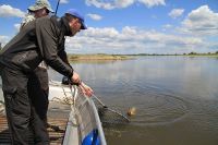 zanderguiding-12072014-15