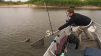 zanderguiding-12072014-17