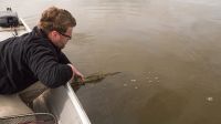 zanderguiding-12072014-23