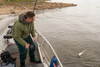 zanderguiding-12072014-29