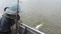 zanderguiding-12072014-33