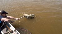 zanderguiding-12072014-38