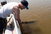 zanderguiding-12072014-40