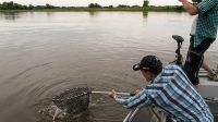 zanderguiding-12072014-44