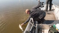 zanderguiding-12072014-5