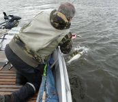 zanderguiding-12102009-10