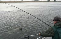 zanderguiding-12102009-4