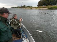 zanderguiding-12102009-8