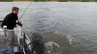 zanderguiding-12122014-14