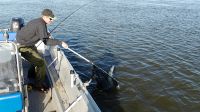 zanderguiding-12122014-29
