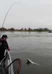 zanderguiding-12122014-43