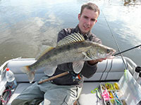 Fangfoto Zander auf der Elbe beim Bootsangeln