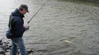 zanderguiding-15072013-13