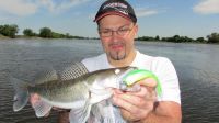 zanderguiding-15072013-19