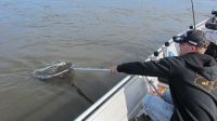 zanderguiding-15072013-21