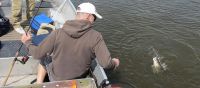 zanderguiding-15072013-47