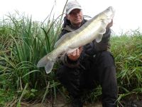 zanderguiding-15092009-6