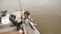 zanderguiding-17062016-1