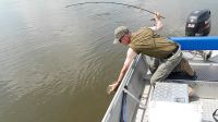zanderguiding-17062016-13