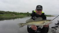 zanderguiding-17062016-16