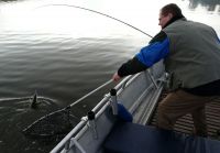 zanderguiding-17102010-1