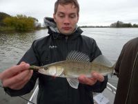 zanderguiding-17102010-19
