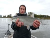 zanderguiding-17102010-20