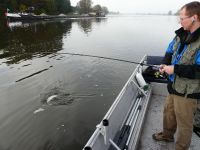 zanderguiding-17102010-5