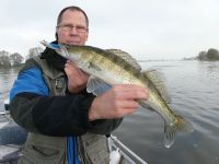 zanderguiding-17102010-6