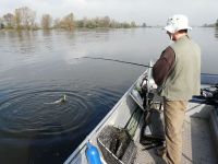 zanderguiding-17102010-7