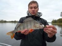 zanderguiding-17102010-9