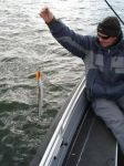 zanderguiding-18052007-9