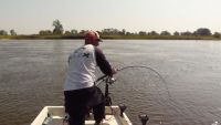 zanderguiding-18092011-1
