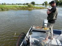 zanderguiding-18092011-14