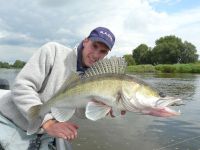 zanderguiding-18092011-19