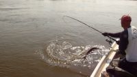 zanderguiding-18092011-2