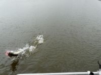 zanderguiding-18092011-23