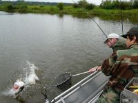 zanderguiding-18092011-24