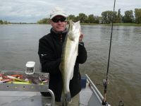 zanderguiding-18092011-27