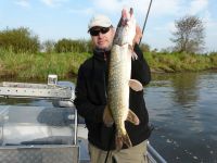 zanderguiding-18092011-29