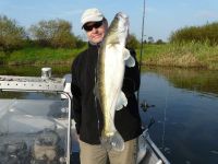 zanderguiding-18092011-30
